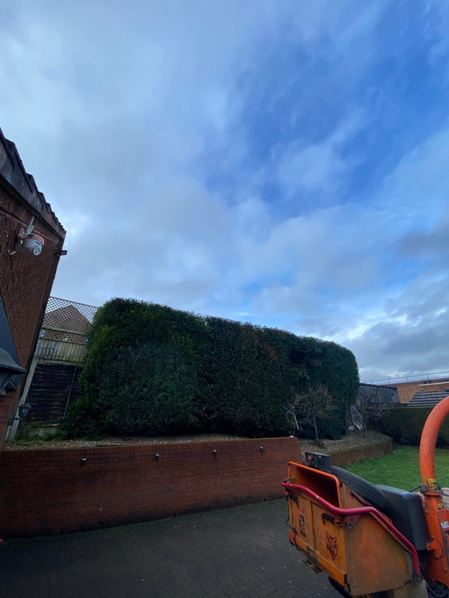 Recently trimmed hedge and professional wood chipper